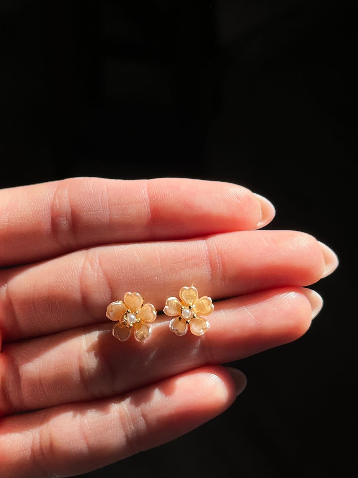 Aros Sirus - miniatura 2